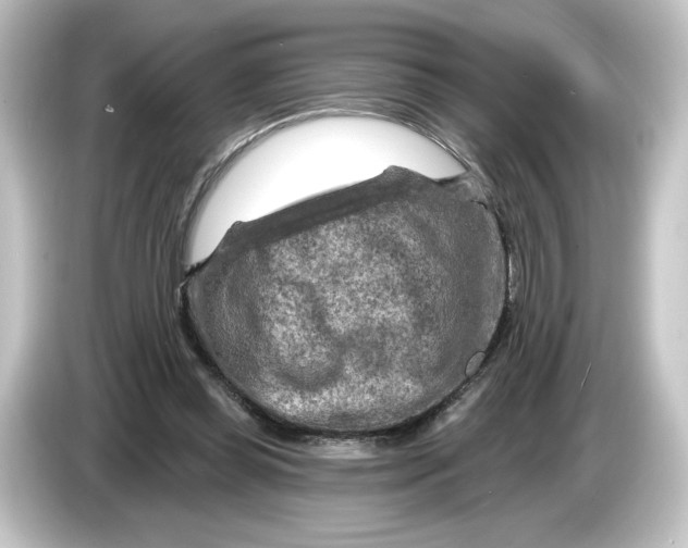 X0000084600349200703161822