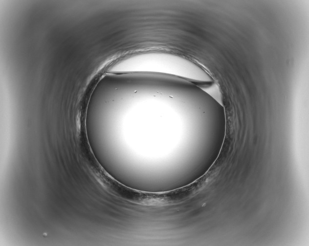 X0000084600350200703161822