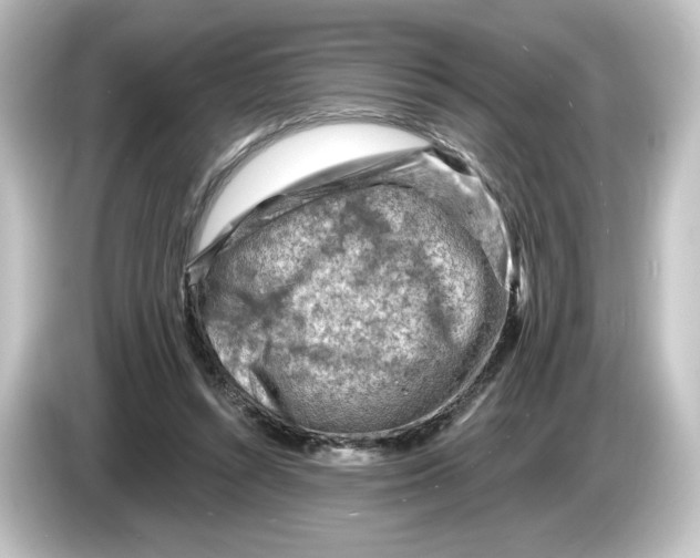 X0000084600352200703161822