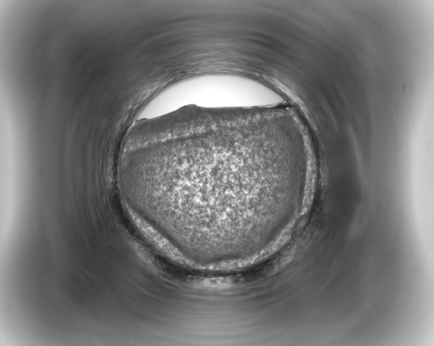 X0000084600353200703161822