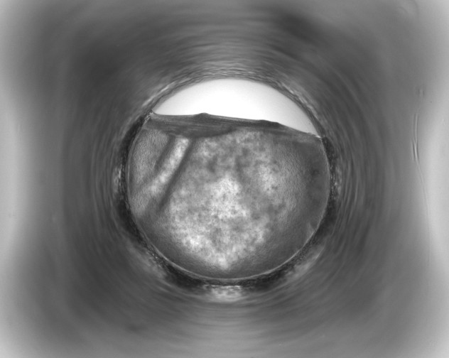 X0000084600355200703161822