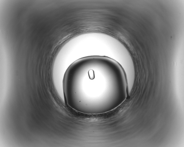 X0000084600356200703161822