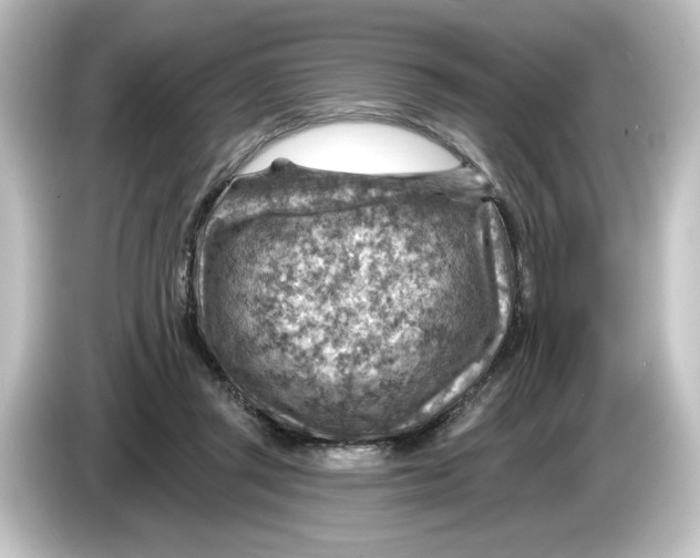 X0000084600357200703161822