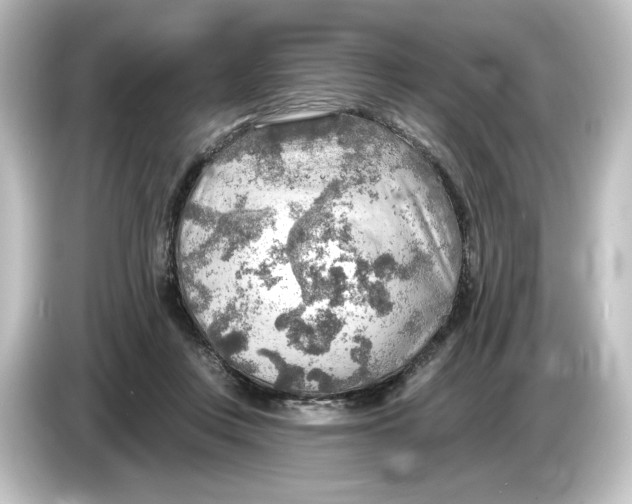 X0000084600359200703161822