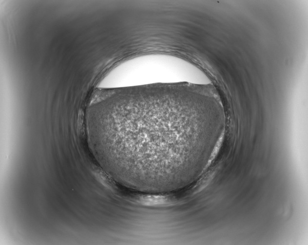 X0000084600361200703161822