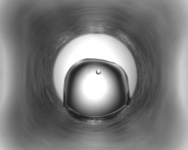 X0000084600362200703161822