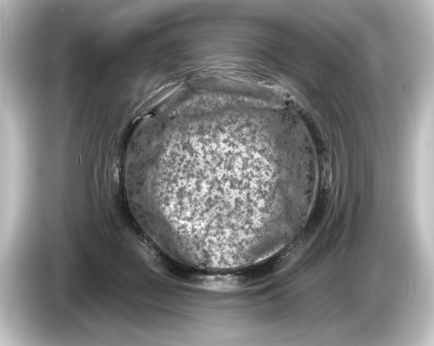 X0000084600363200703161822