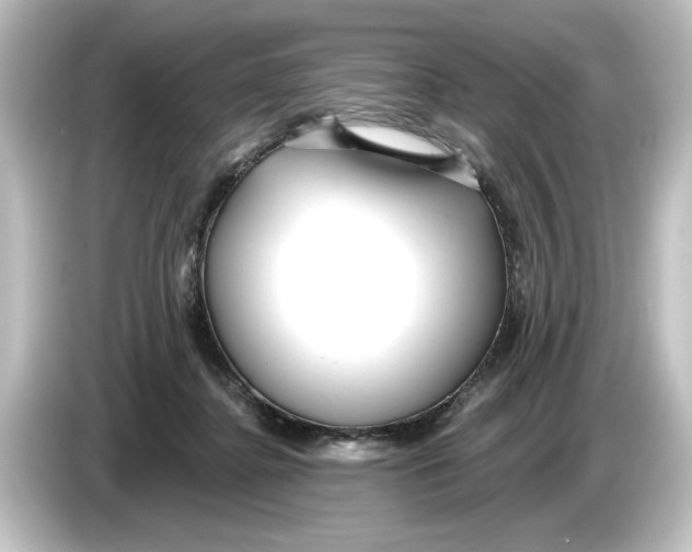 X0000084600364200703161822