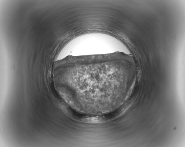 X0000084600365200703161822