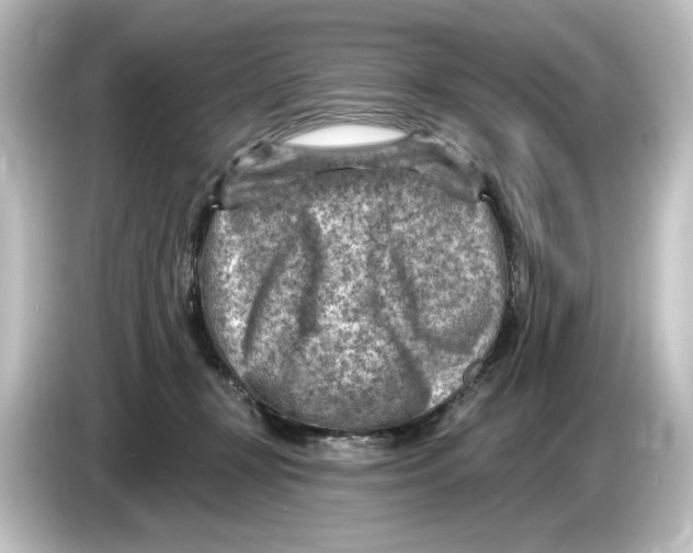 X0000084600367200703161822