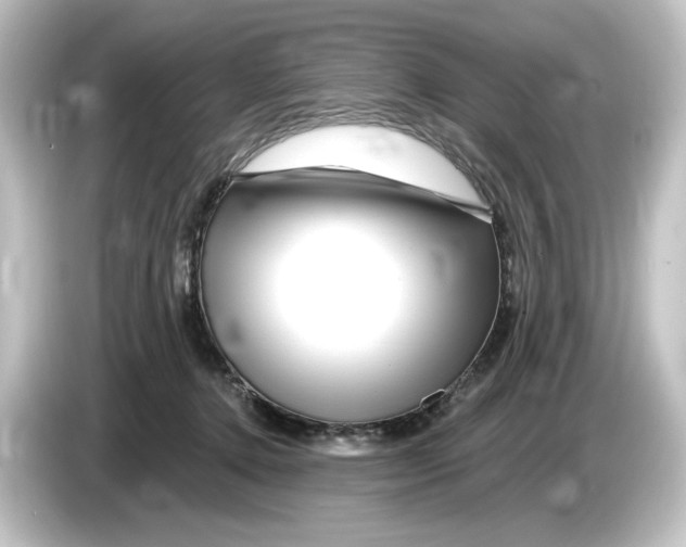 X0000084600368200703161822