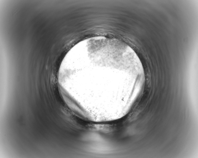 X0000084600371200703161822