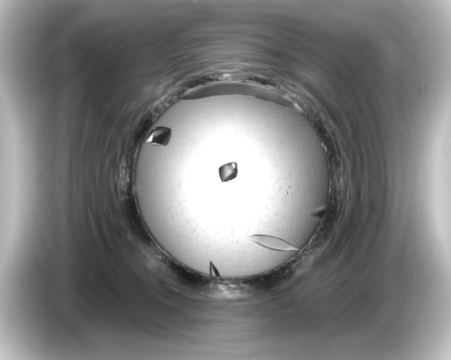 X0000084600372200703161822