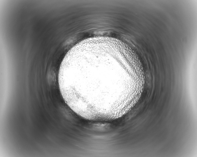 X0000084600375200703161822