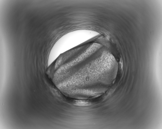 X0000084600380200703161822