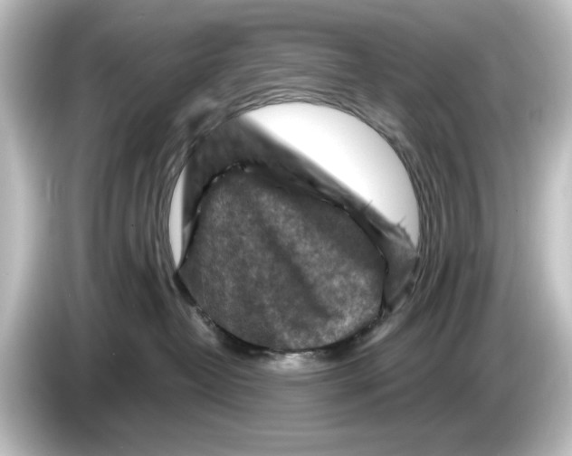 X0000084600382200703161823