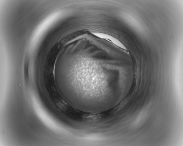 X0000084600383200703161823