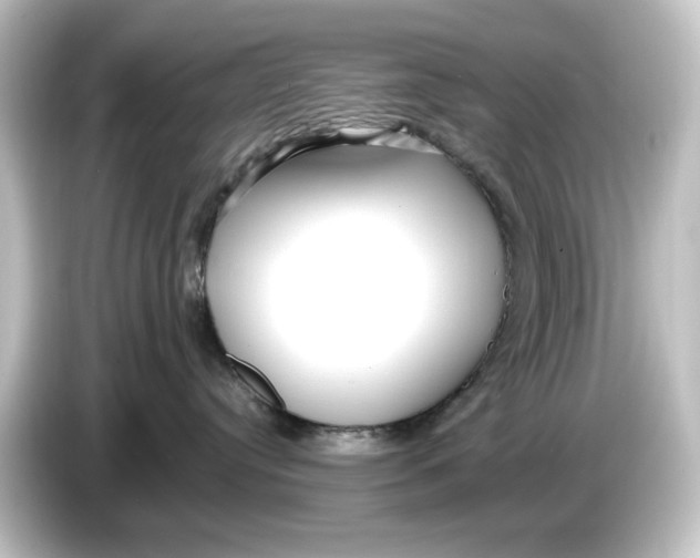 X0000084600384200703161823