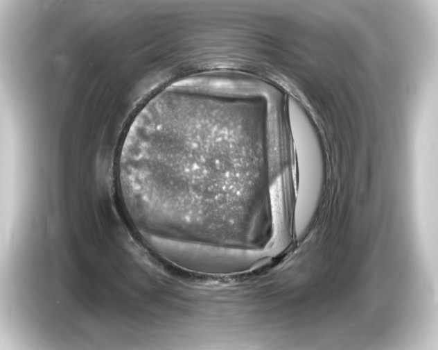 X0000084600386200703161822