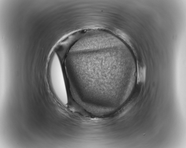 X0000084600387200703161822