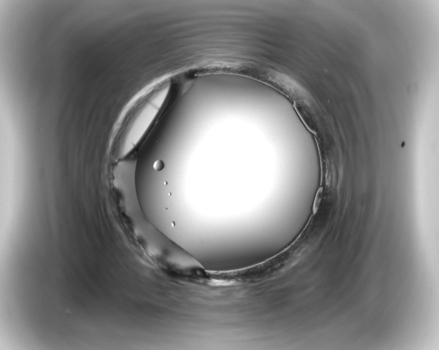 X0000084600388200703161822