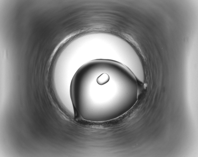 X0000084600392200703161822