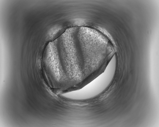 X0000084600393200703161822