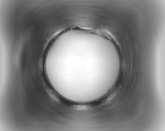 X0000084600394200703161822