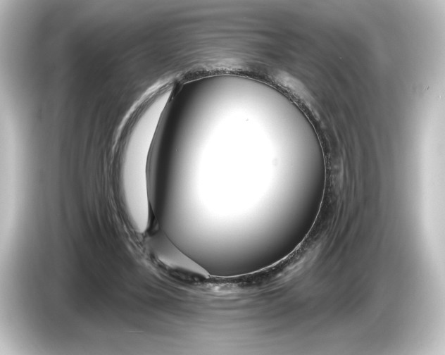 X0000084600395200703161822