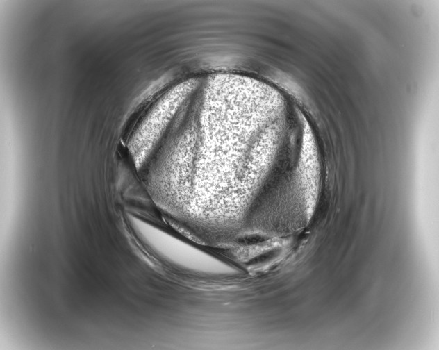 X0000084600397200703161822