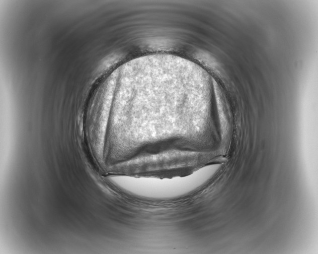 X0000084600398200703161822