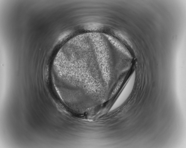 X0000084600400200703161822