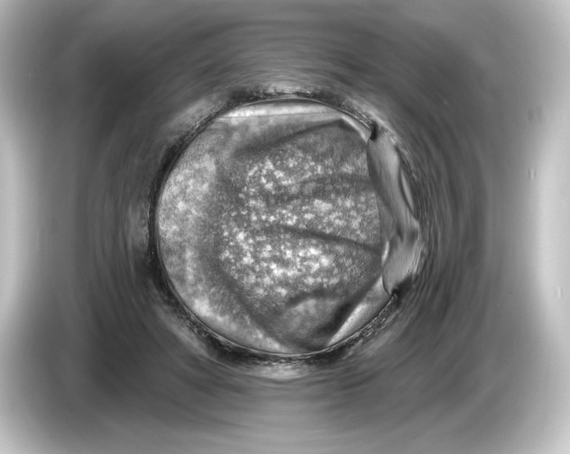 X0000084600402200703161822