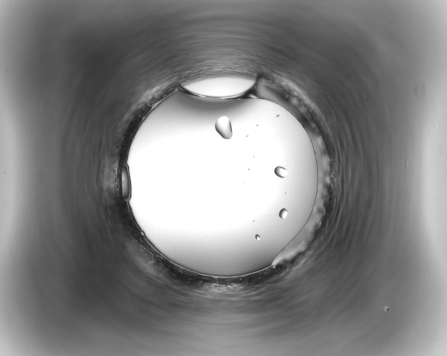 X0000084600403200703161822