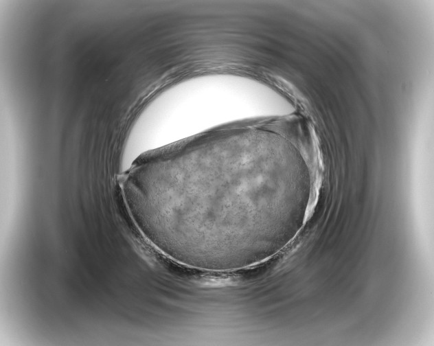 X0000084600405200703161822