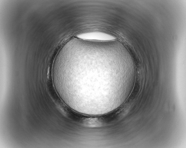 X0000084600406200703161822