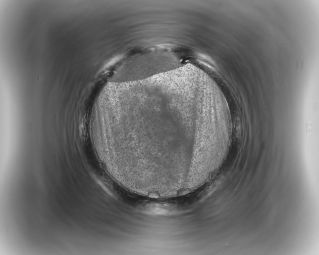 X0000084600408200703161822