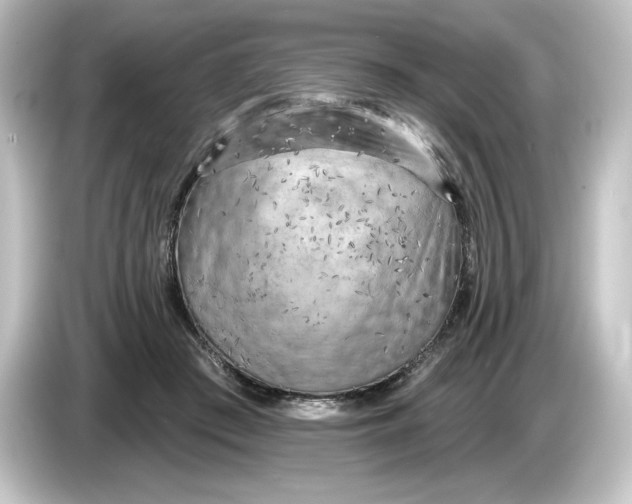 X0000084600409200703161822