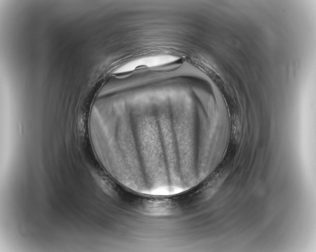 X0000084600410200703161822