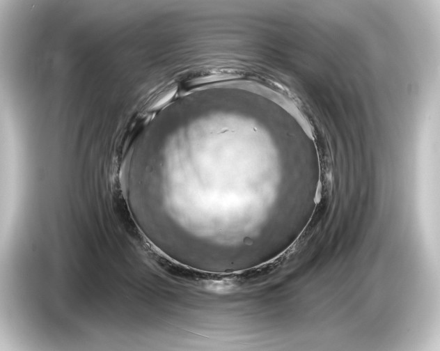 X0000084600411200703161822