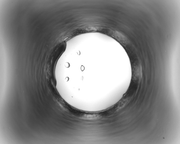 X0000084600414200703161822