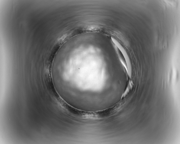 X0000084600415200703161822