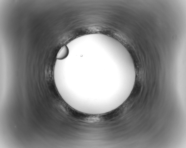 X0000084600418200703161821