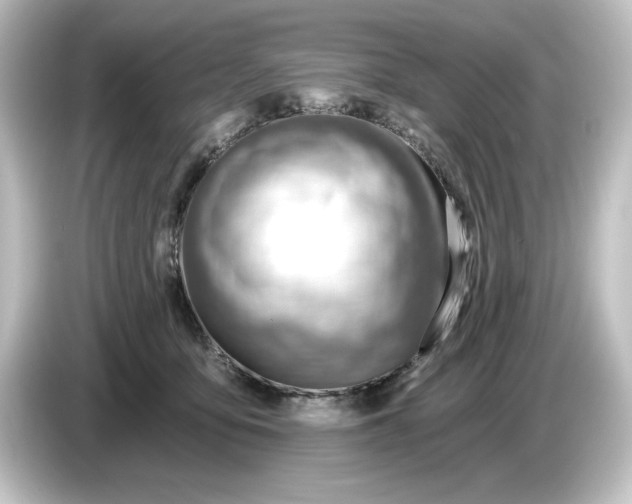 X0000084600419200703161821