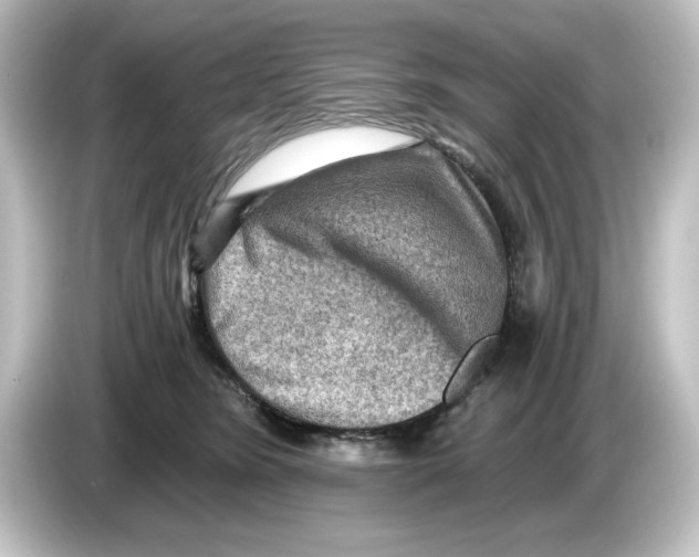 X0000084600420200703161821