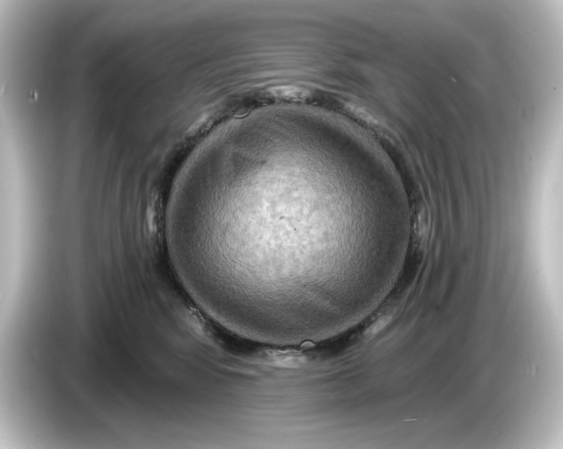 X0000084600424200703161821