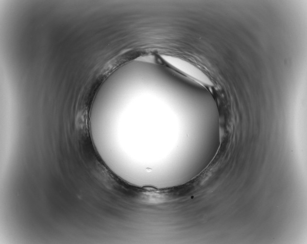 X0000084600425200703161821