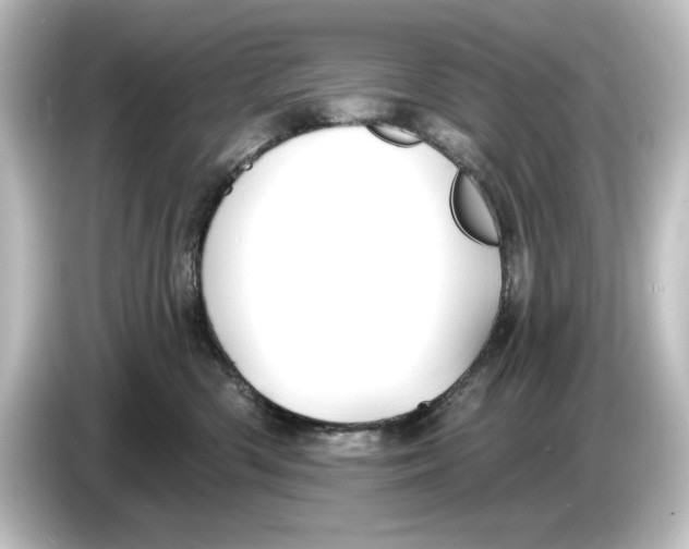 X0000084600426200703161821