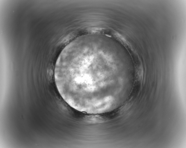 X0000084600427200703161821