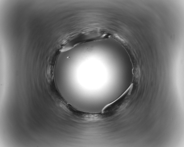 X0000084600428200703161821